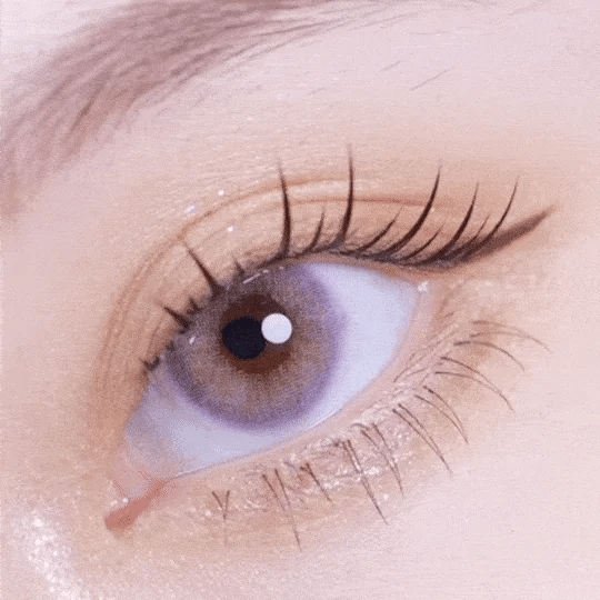 Lilly Luster (Violet)