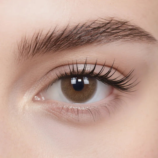 Magical Moment (Brown)