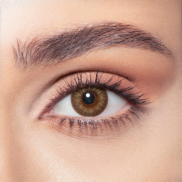 Almond Brown (Eyesight)